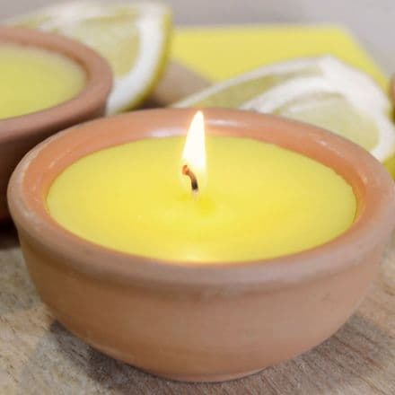 Citronella Scented Wax Melts