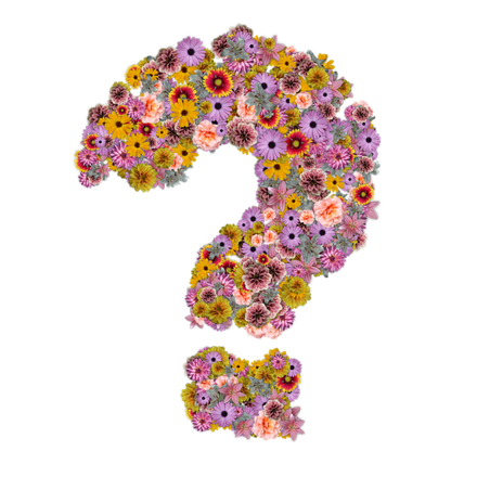 Clearance Sale! Wax melts surprise bundles