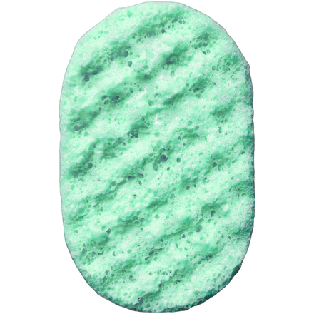 Daisies Soap Filled Exfoliating Massage Sponge