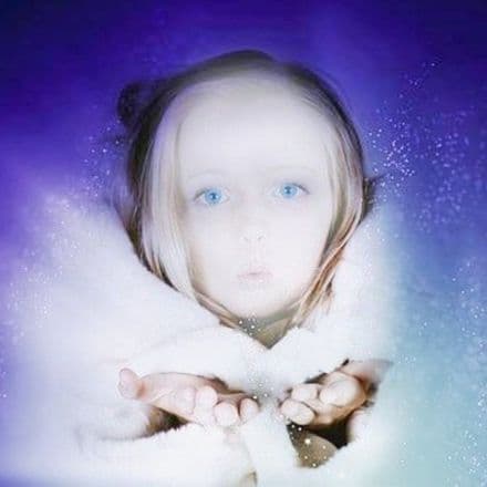 Fairy dust Scented Wax Melts