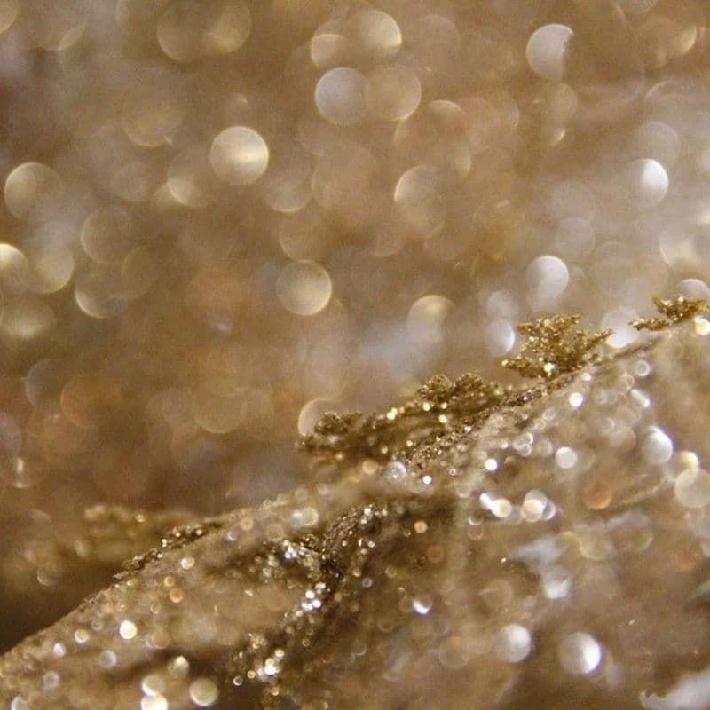 Jadore Scented Wax Melts - The Scenty Shop