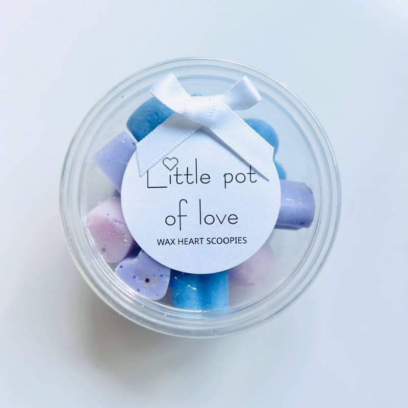 Little Pots of Love Wax Melt Scoopies