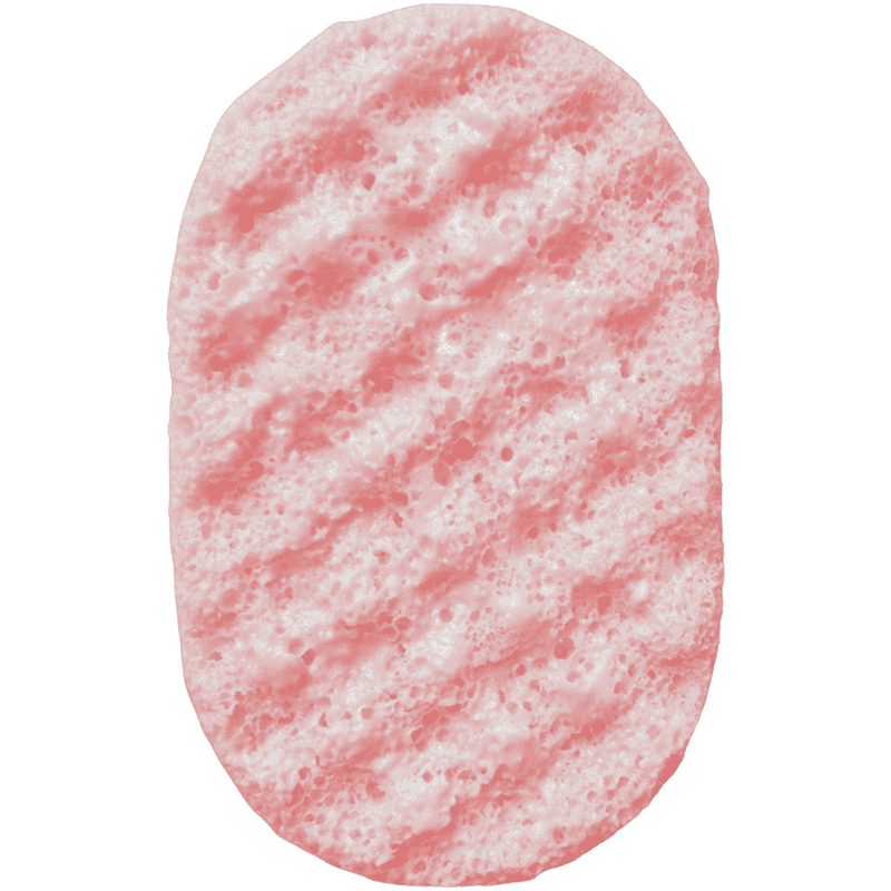 The Scenty Shop, Parodie scented soap-filled exfoliating massage sponge