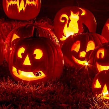 Pumpkin Patch Scented Wax Melts