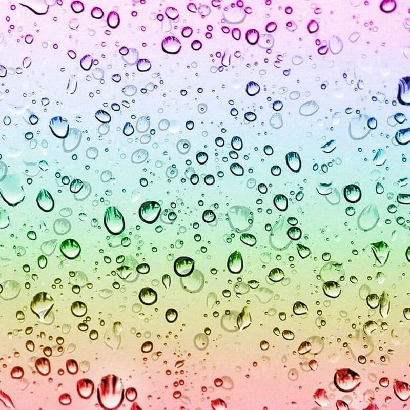 Rainbow Drops Scented Wax Melts - The Scenty Shop
