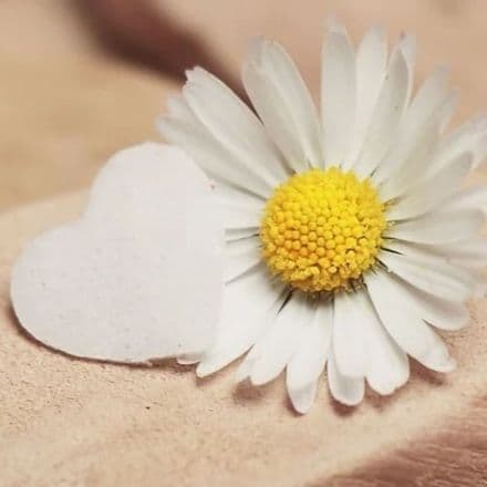 Spring Love Scented Wax Melts