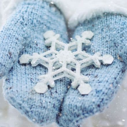 Winter Wax Melts Collection