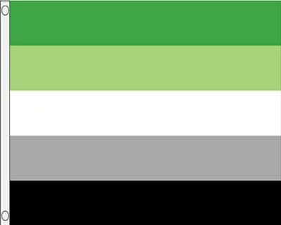Aromantic Flag