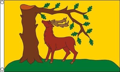 Berkshire New Flag