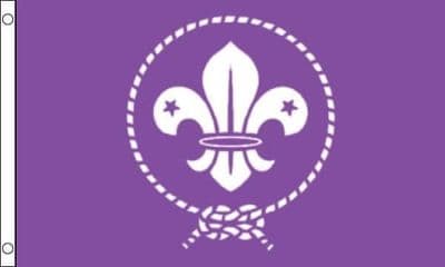 Boy Scout Movement Flag