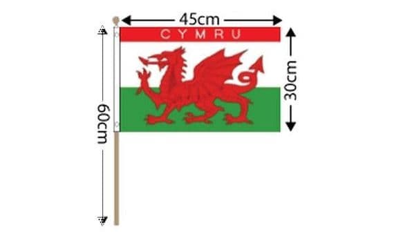 Cymru Hand Flag Large | flagly.co.uk | We Sell Flags