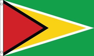 Guyana Flag