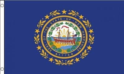 New Hampshire State Flag