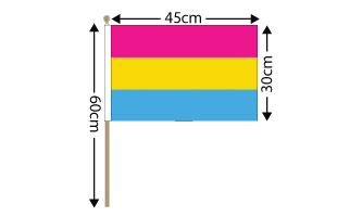 Pansexual Hand Flag Large (18