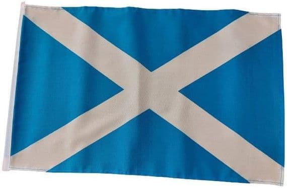 Scotland Small Flag | flagly.co.uk | We Sell Flags