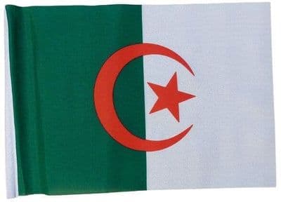 Small Algeria Flag - 9