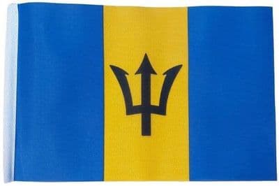 Small Barbados Flag - 9