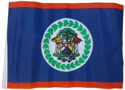 Small Belize Flag - 9