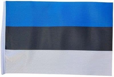 Small Estonia Flag - 9