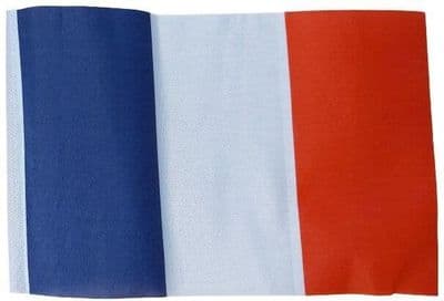 Small France Flag - 9