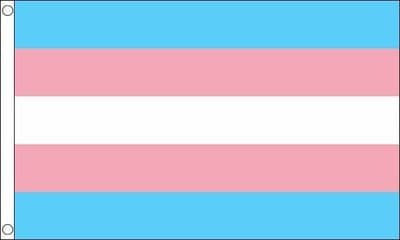 Transgender Flag