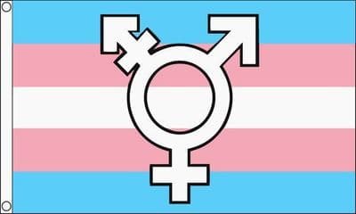Transgender Symbol Flag