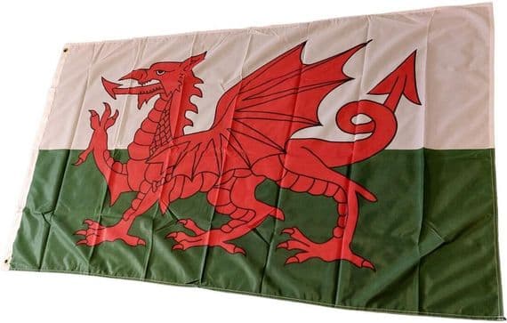 Wales 5x3 Knitted Polyester Heavy Flag | flagly.co.uk | We Sell Flags