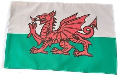 Wales SLEEVED Flag - 1.5ft x 1ft