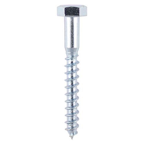 M6 Coach Screw Per Each