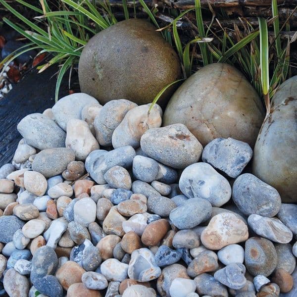 Oyster Pebbles 20mm Non Returnable