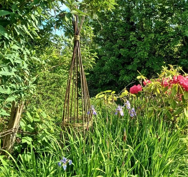 Garden Obelisk 150 cm WITH VIDEO TUTORIAL