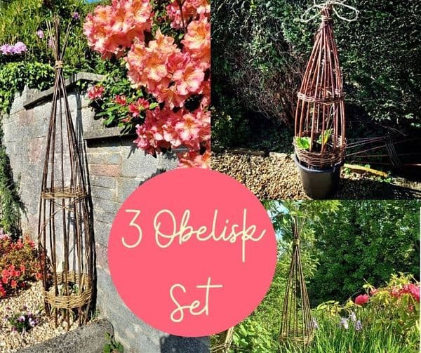 Garden Obelisk set of 3 x 150cm WITH VIDEO TUTORIAL