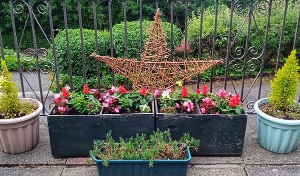 Large Wooden Star 100cm