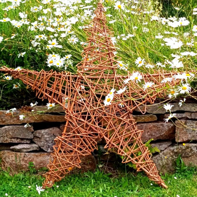 SOLD OUT!!!   Sunday 7th Dec 25 Large Willow Star Workshop Cove Burgh Hall