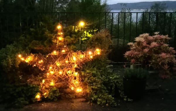 Sunday 14th Dec 25 Large Willow Star Workshop Cove Burgh Hall