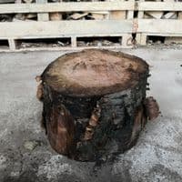 Chopping Block