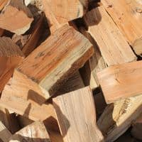 Mixed Softwood Logs