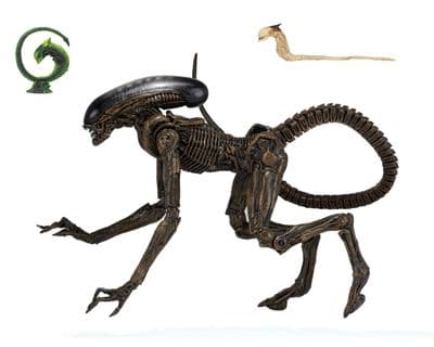 NECA Alien 3 - Ultimate Dog Alien 9