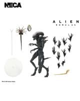 NECA Alien Romulus - Ultimate Scorched Xenomorph Action Figure - INSTOCK