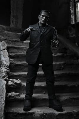 NECA Universal Monsters Frankenstein’s Monster action figure - SPECIAL OFFER