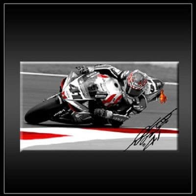 Nori Haga Fridge Magnet