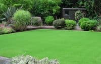 Quest 30mm Artificial Grass KBM in Keith