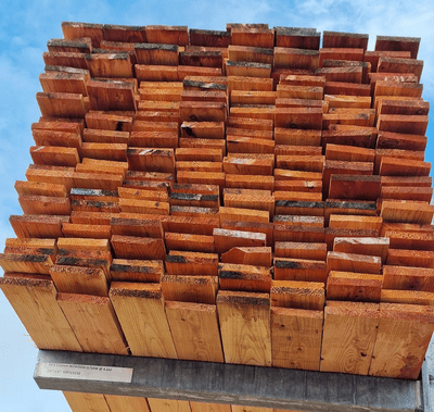 Scottish Larch 22 x 150mm 4.8mt