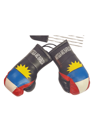Antigua Boxing Gloves