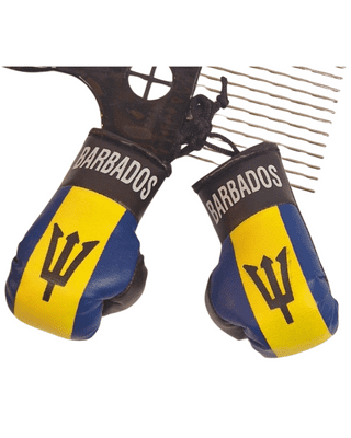 Barbados Boxing Gloves