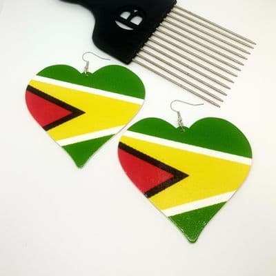 Wear Your Colours Earrings Guyana