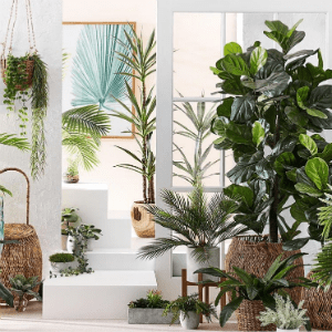 Artificial Plants