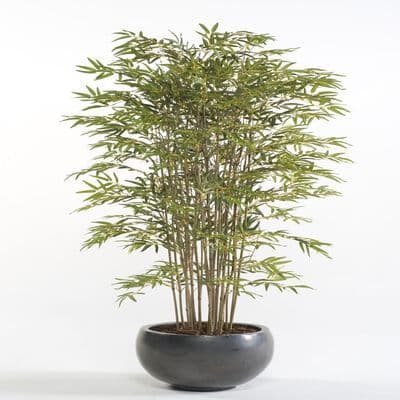 Emerald Artificial Japanese Bamboo 150 cm