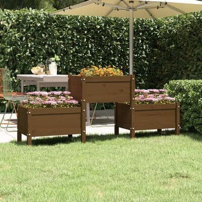 Raised Beds And Planters