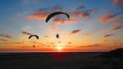 Paragliders
